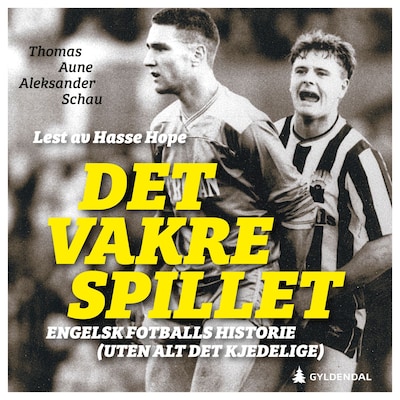 Det vakre spillet