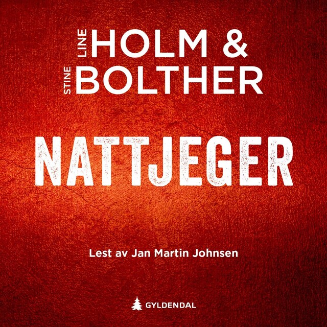 Bokomslag for Nattjeger