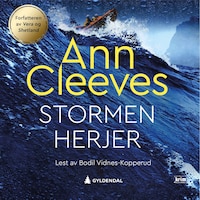 Stormen herjer