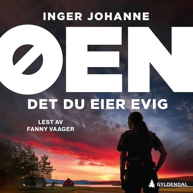 Bokomslag for Det du eier evig