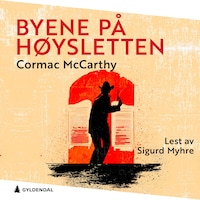 Byene på høysletten