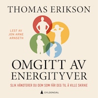 Omgitt av energityver