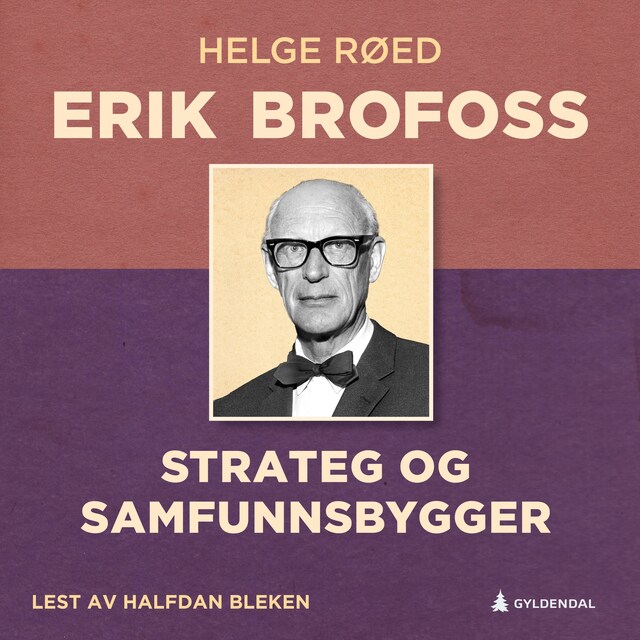 Bokomslag for Erik Brofoss