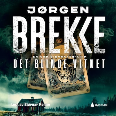 Det blinde vitnet