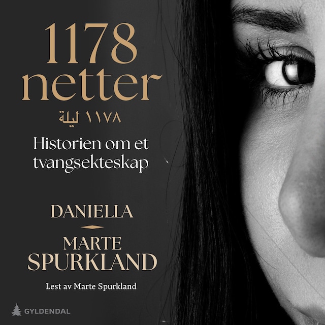 Bokomslag for 1178 netter