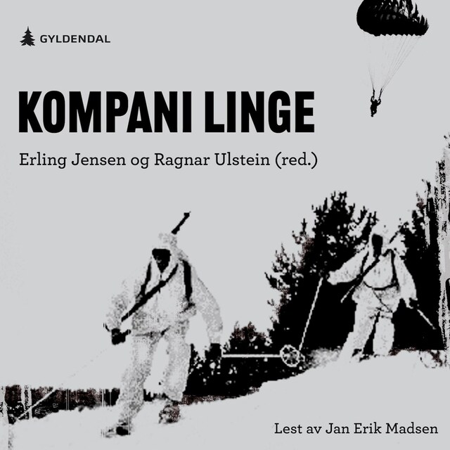 Bokomslag for Kompani Linge