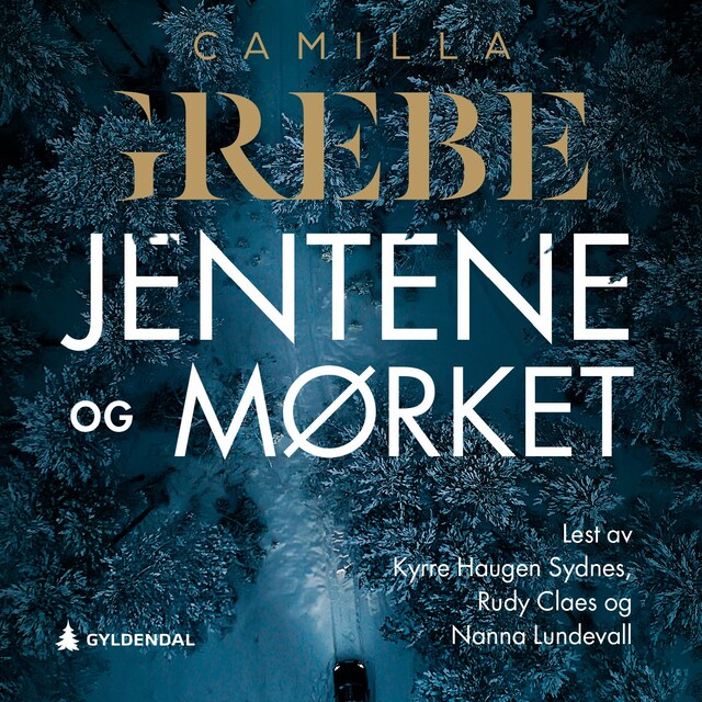 Bokomslag for Jentene og mørket