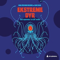 Ekstreme dyr