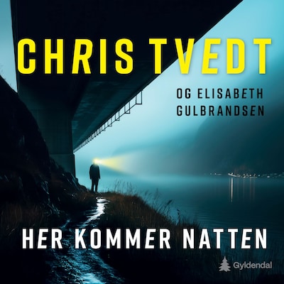 Her kommer natten