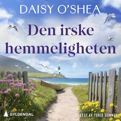 Den irske hemmeligheten