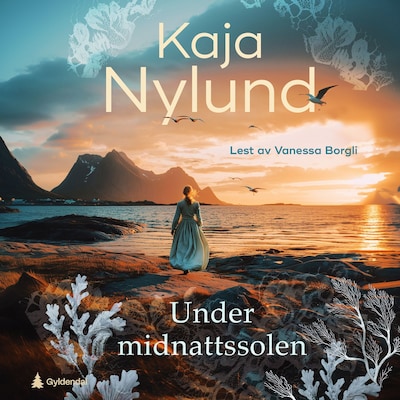 Under midnattssolen