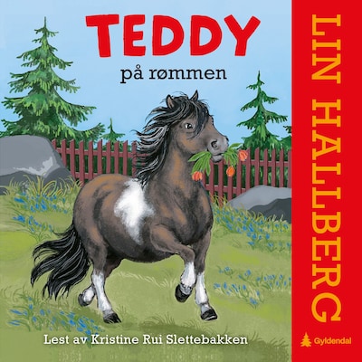 Teddy på rømmen – lydbok – Lin Hallberg