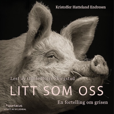 Litt som oss