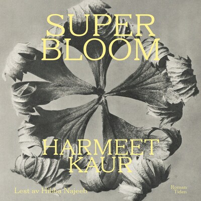 Superbloom – lydbok – Harmeet Kaur