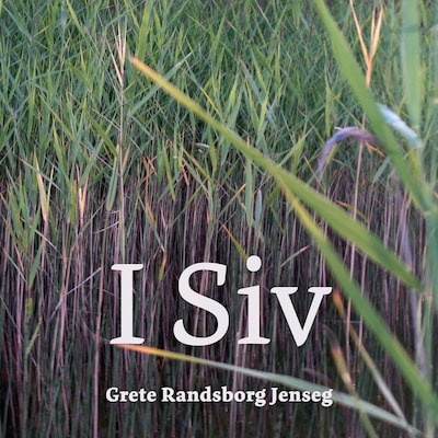 I siv – lydbok – Grete Randsborg Jenseg