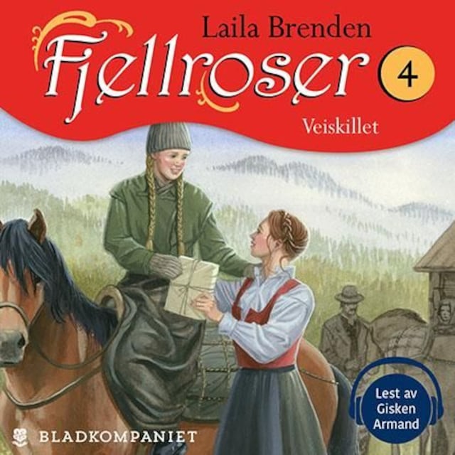 Bokomslag for Veiskillet