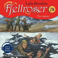 Nye sjanser