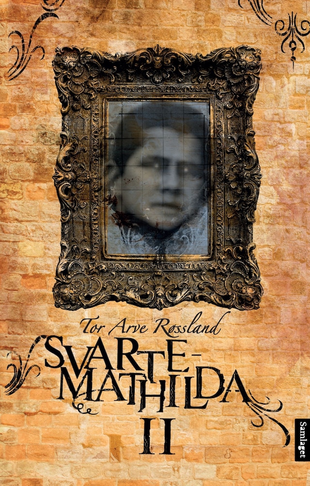 Bokomslag for Svarte-Mathilda II