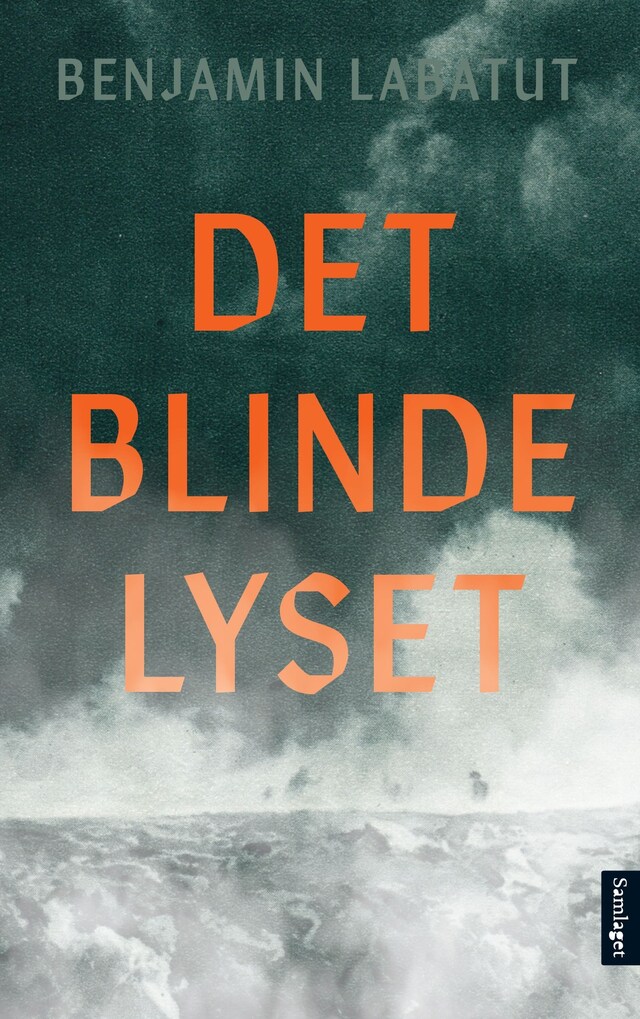 Bokomslag for Det blinde lyset