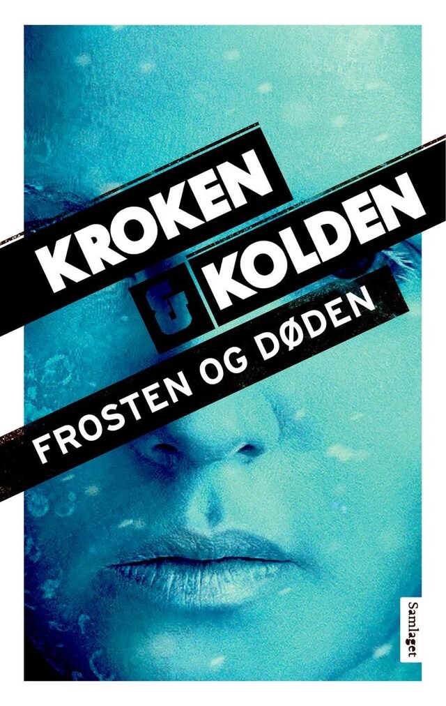 Bokomslag for Frosten og døden