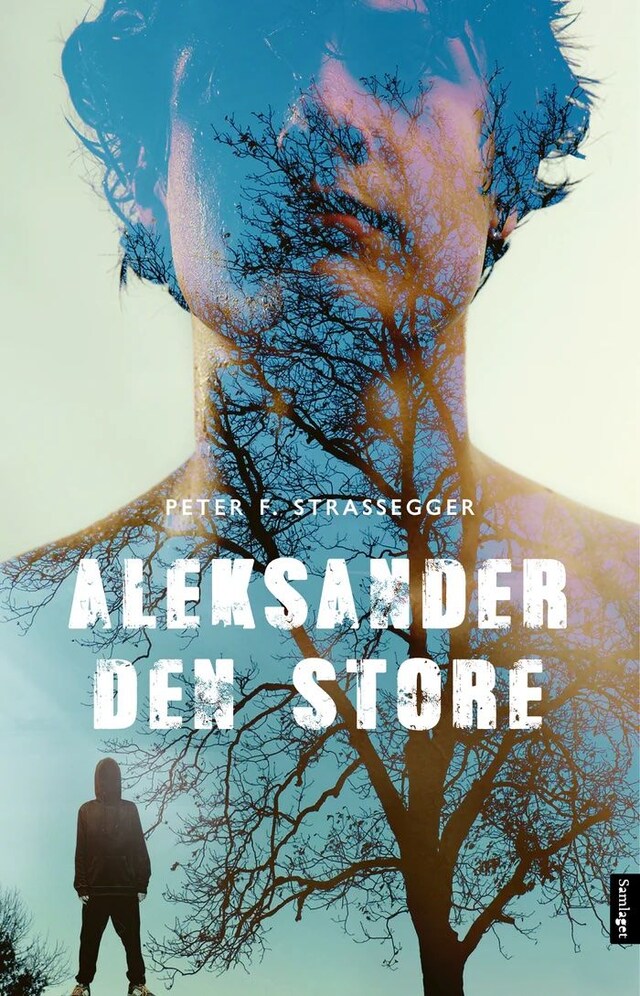 Bokomslag for Aleksander den store