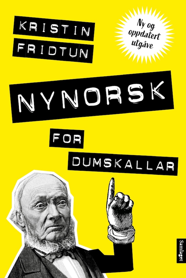 Bokomslag for Nynorsk for dumskallar