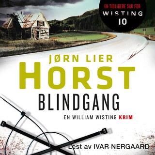 Blindgang bookCoverFor