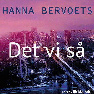 Det vi så – lydbok – Hanna Bervoets