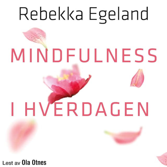 Bokomslag for Mindfulness i hverdagen