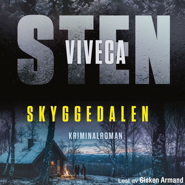 Bokomslag for Skyggedalen