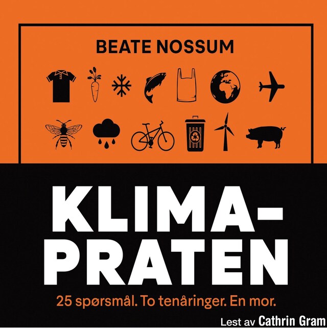 Bokomslag for Klimapraten