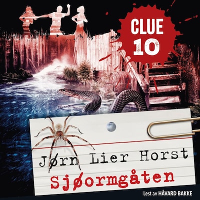 Sjøormgåten