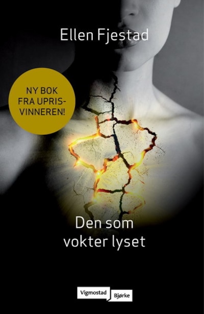 Den som vokter lyset – lydbok – Ellen Fjestad