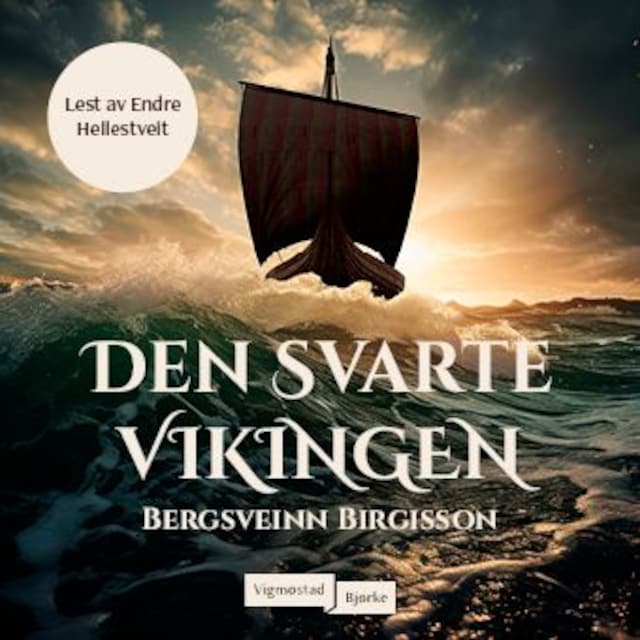 Bokomslag for Den svarte vikingen