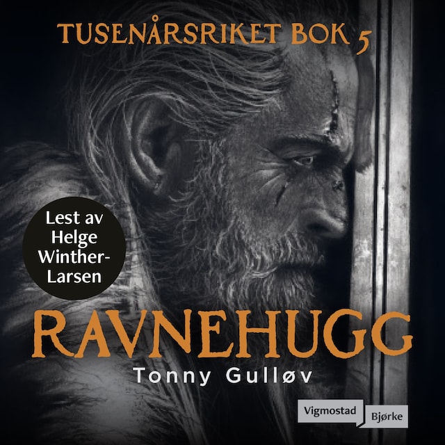 Bokomslag for Ravnehugg