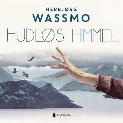 Hudløs himmel