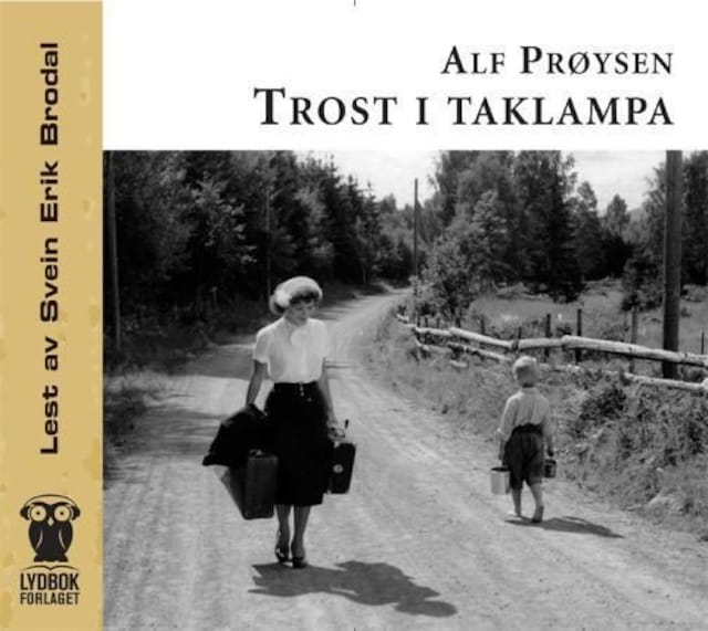 Bokomslag for Trost i taklampa