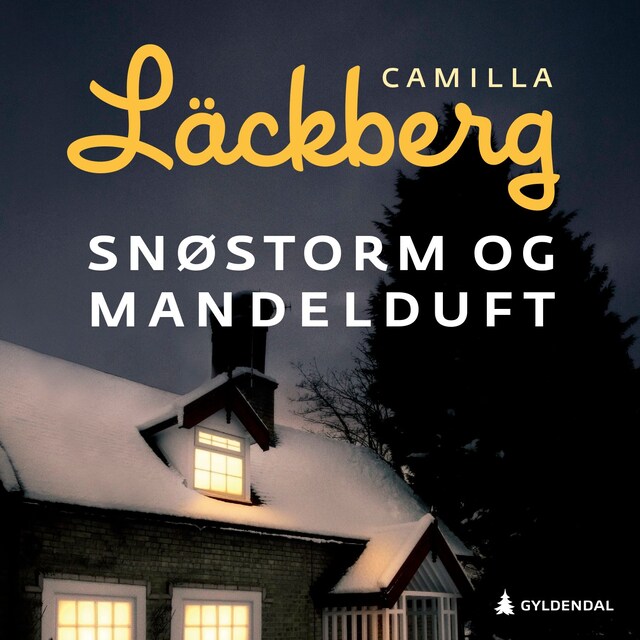 Bokomslag for Snøstorm og mandelduft