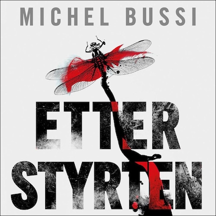 Le petit pirate des étoiles - Michel Bussi - Lydbok - BookBeat