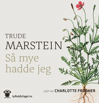 Så mye hadde jeg bookCoverFor
