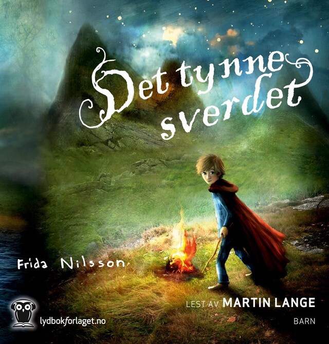 Book cover for Det tynne sverdet