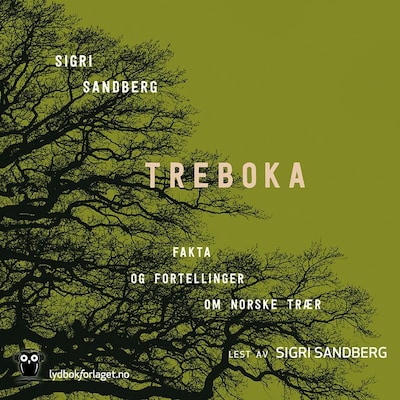 Treboka