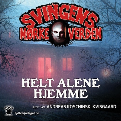 Helt alene hjemme