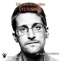 Systemfeil