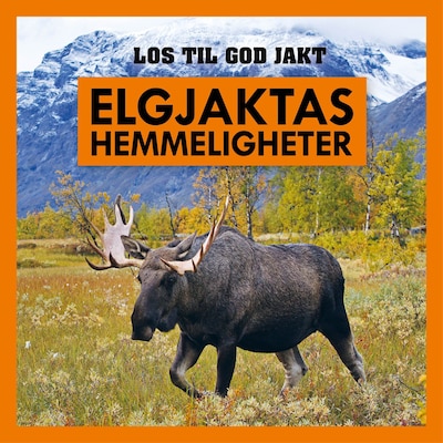Elgjaktas hemmeligheter
