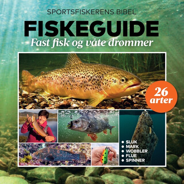 Bokomslag for Fiskeguide