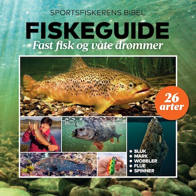 Fiskeguide