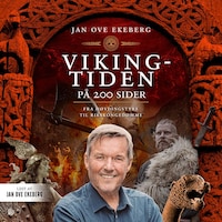 Vikingtiden på 200 sider