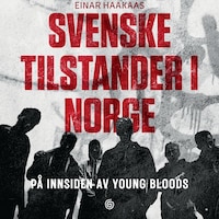 Svenske tilstander i Norge