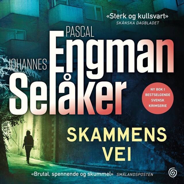 Bokomslag for Skammens vei